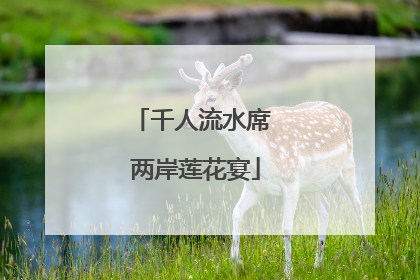 千人流水席 两岸莲花宴