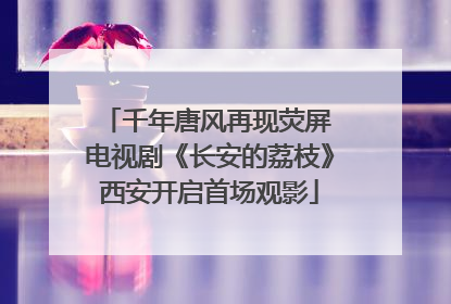 千年唐风再现荧屏 电视剧《长安的荔枝》西安开启首场观影