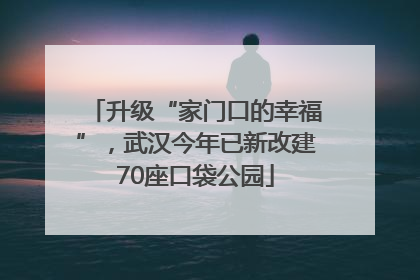 升级“家门口的幸福”，武汉今年已新改建70座口袋公园