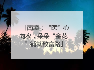 南漳：“医”心向农，朵朵“金花”铺就致富路
