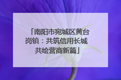 南阳市宛城区黄台岗镇：共筑信用长城 共绘营商新篇
