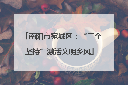 南阳市宛城区：“三个坚持”激活文明乡风