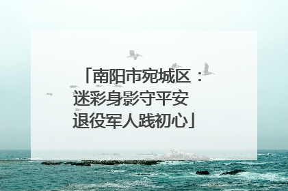 南阳市宛城区：迷彩身影守平安 退役军人践初心
