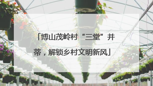 博山茂岭村“三堂”并蒂，解锁乡村文明新风