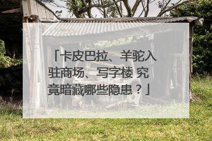卡皮巴拉、羊驼入驻商场、写字楼 究竟暗藏哪些隐患？