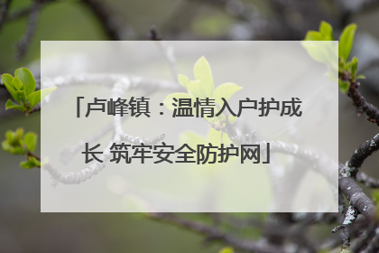 卢峰镇：温情入户护成长 筑牢安全防护网