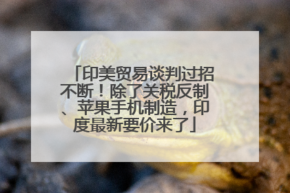 印美贸易谈判过招不断！除了关税反制、苹果手机制造，印度最新要价来了