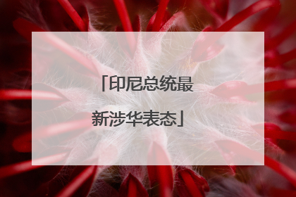 印尼总统最新涉华表态
