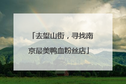 去望山街，寻找南京最美鸭血粉丝店