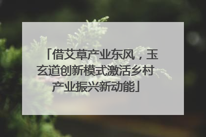 借艾草产业东风，玉玄道创新模式激活乡村产业振兴新动能