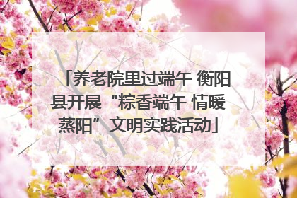养老院里过端午 衡阳县开展“粽香端午 情暖蒸阳”文明实践活动