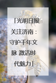 光明日报关注济南：守护千年文脉 激活时代魅力