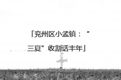兖州区小孟镇：“三夏”收割话丰年