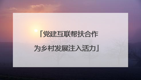 党建互联帮扶合作 为乡村发展注入活力
