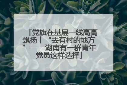 党旗在基层一线高高飘扬丨“去有村的地方”——湖南有一群青年党员这样选择