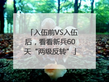 入伍前VS入伍后，看看新兵60天“两级反转”