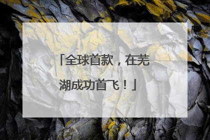 全球首款，在芜湖成功首飞！