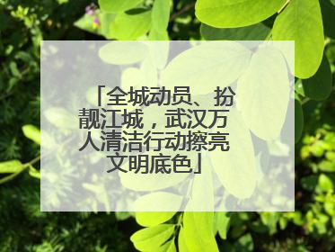 全城动员、扮靓江城，武汉万人清洁行动擦亮文明底色