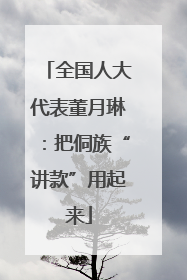 全国人大代表董月琳：把侗族“讲款”用起来