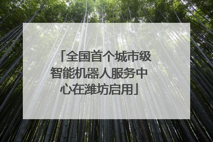 全国首个城市级智能机器人服务中心在潍坊启用