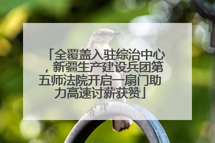 全覆盖入驻综治中心，新疆生产建设兵团第五师法院开启一扇门助力高速讨薪获赞