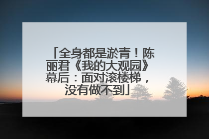 全身都是淤青！陈丽君《我的大观园》幕后：面对滚楼梯，没有做不到