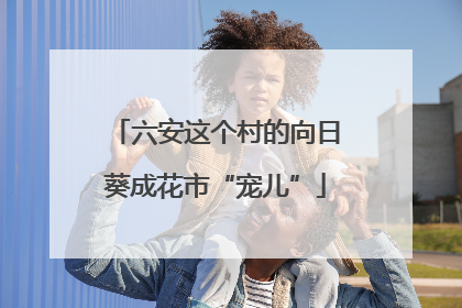六安这个村的向日葵成花市“宠儿”