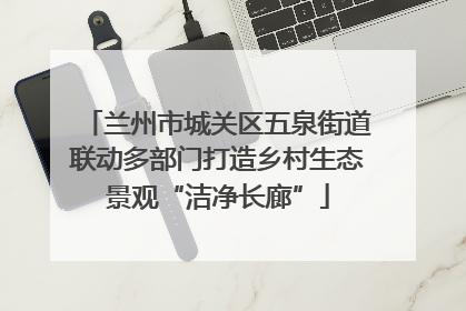 兰州市城关区五泉街道联动多部门打造乡村生态景观“洁净长廊”