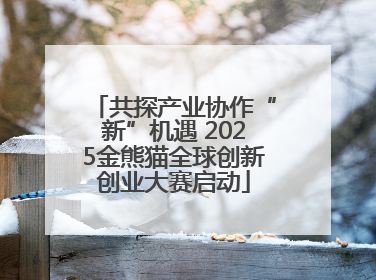 共探产业协作“新”机遇 2025金熊猫全球创新创业大赛启动
