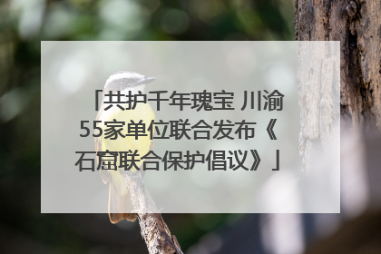 共护千年瑰宝 川渝55家单位联合发布《石窟联合保护倡议》