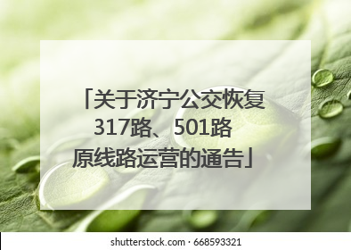 关于济宁公交恢复317路、501路原线路运营的通告