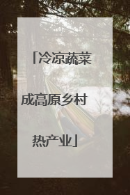 冷凉蔬菜成高原乡村热产业