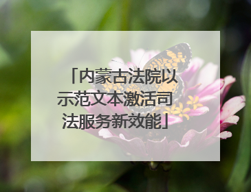 内蒙古法院以示范文本激活司法服务新效能