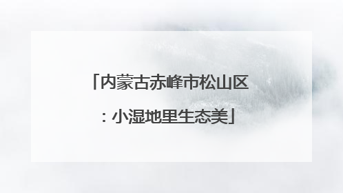 内蒙古赤峰市松山区：小湿地里生态美