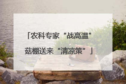 农科专家“战高温” 菇棚送来“清凉策”
