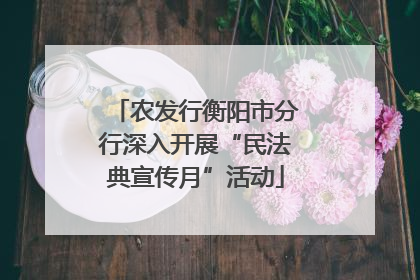 农发行衡阳市分行深入开展“民法典宣传月”活动