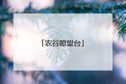 农谷瞭望台