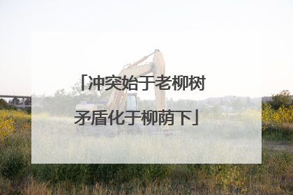 冲突始于老柳树 矛盾化于柳荫下
