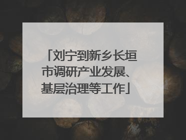 刘宁到新乡长垣市调研产业发展、基层治理等工作