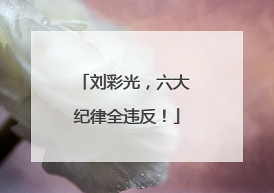 刘彩光，六大纪律全违反！