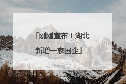 刚刚宣布！湖北新增一家国企