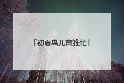 初夏鸟儿育雏忙