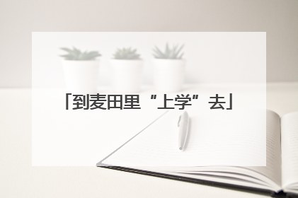 到麦田里“上学”去