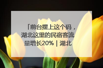 前台摆上这个码，湖北这里的民宿客流量增长20%｜湖北市场监管所的故事