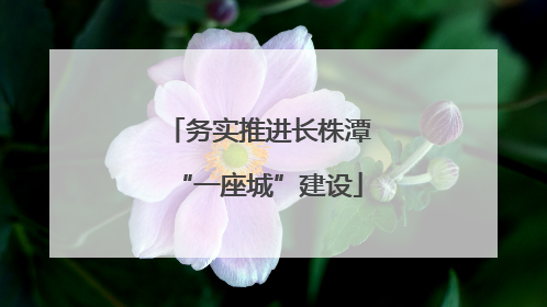 务实推进长株潭“一座城”建设