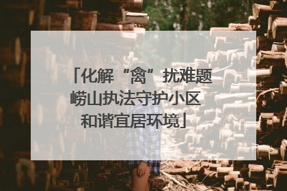 化解“禽”扰难题 崂山执法守护小区和谐宜居环境