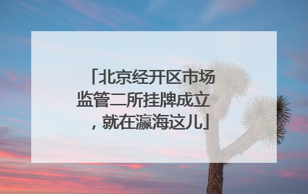 北京经开区市场监管二所挂牌成立，就在瀛海这儿