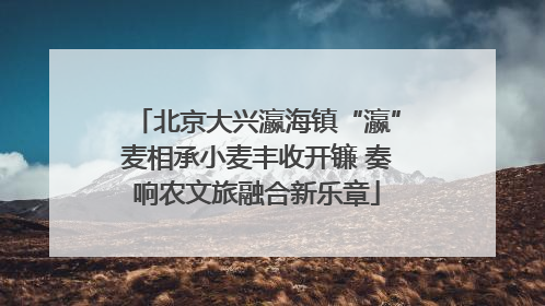 北京大兴瀛海镇“瀛”麦相承小麦丰收开镰 奏响农文旅融合新乐章