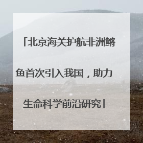 北京海关护航非洲鳉鱼首次引入我国，助力生命科学前沿研究