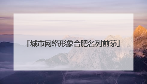 城市网络形象合肥名列前茅